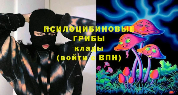 ГАЛЛЮЦИНОГЕННЫЕ ГРИБЫ Верея