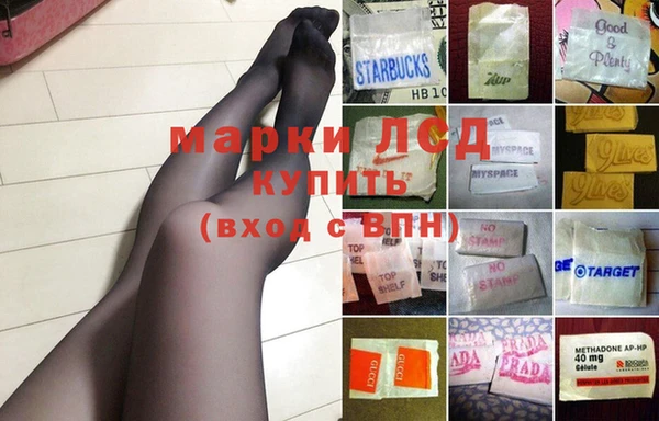 эйфоретик Вяземский