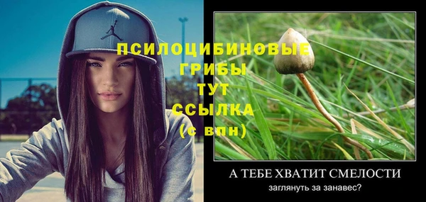 эйфоретик Вяземский