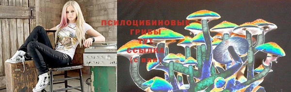 mdma Тихорецк
