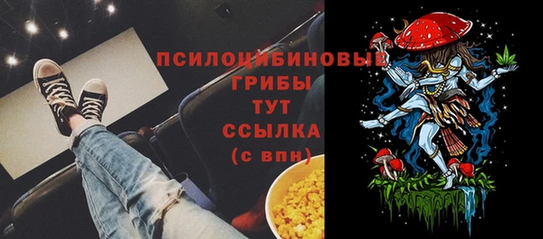 СК Волосово