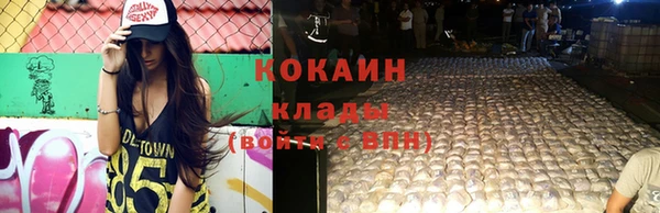 эйфоретик Вяземский