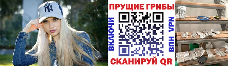 mega ONION  Иланский  Галлюциногенные грибы прущие грибы 